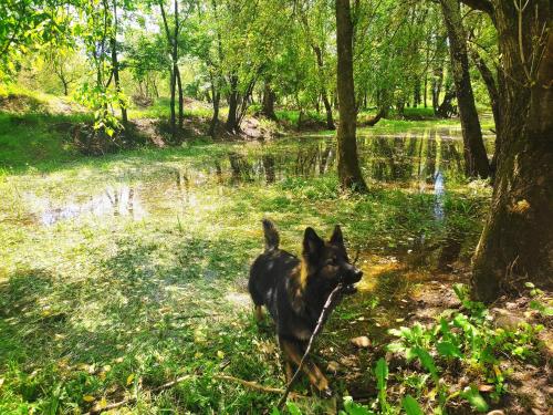 Camping La Digue