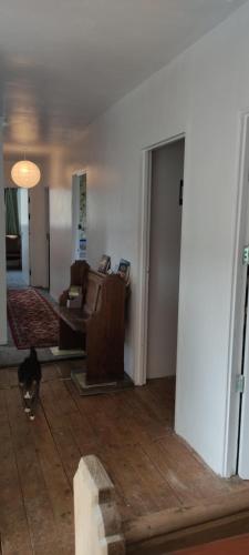 Vista exterior, Toad Hall Hostel in Machynlleth