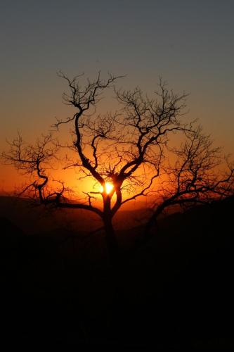舒格洛夫山汽车旅馆