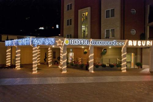 Hotel Granducato - image 14