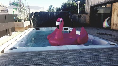 Dépendance Avec Piscine Jacuzzi Bassin d'Arcachon - Location saisonnière - Gujan-Mestras