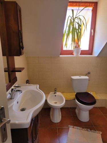 Tótvár lovas szálláshely - image 4