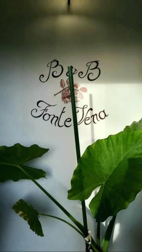 B&B Fonte Vena – Norcia, CT