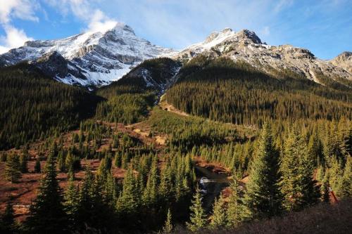 High Country Lodge - image 7