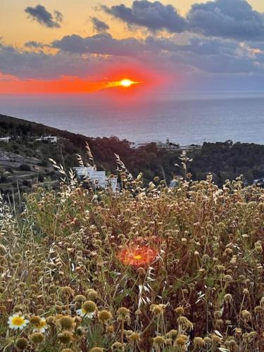 Patmos Horizon