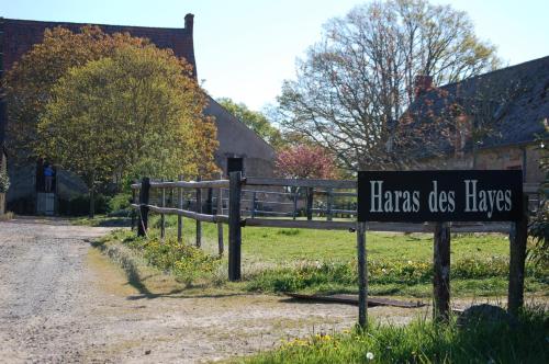 Haras des Hayes gîte à louer Maisoncelles
