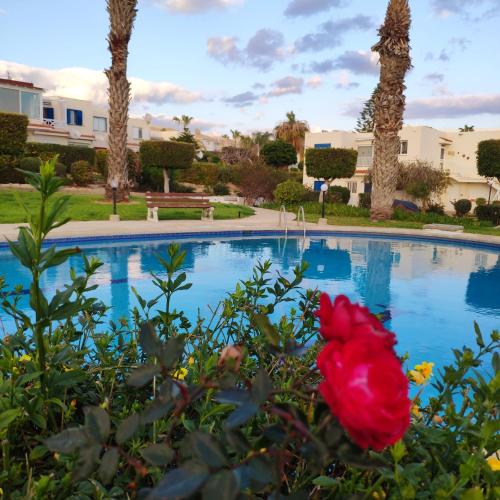 SWEET HOME CORAL BAY SEA VIEW 3 Stocks Paphos Peyia