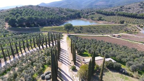 KALI Srl Società Agricola - Castiglione della Pescaia