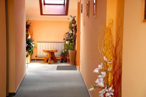 Frühstückspension Wiesenhaus - image 12
