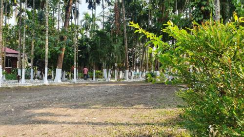 Ayush Jungle Resort