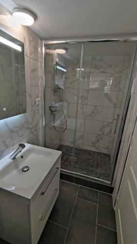 Studio Deluxe Marc - hébergement de tourisme classé avec parking gratuit, Strasbourg (photo 9)