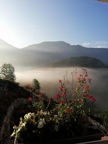 Gaïa, maison d'hôtes Verdon, vue féerique (Gaia, maison d'hotes Verdon, vue feerique) in 주앙-레-팽 시티 센터
