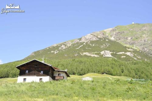 Appartamenti Green esclusivo riservato soleggiato