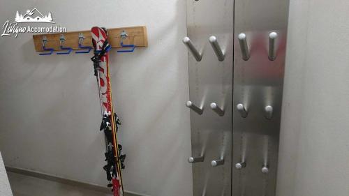 Apartment - Ground Floor image 3