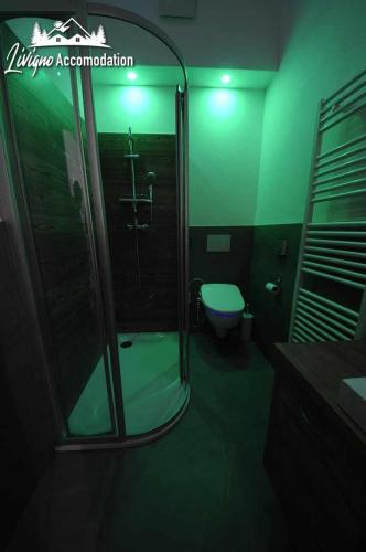 Baita Carosello Apt 6 by Livigno Accomodation - image 3