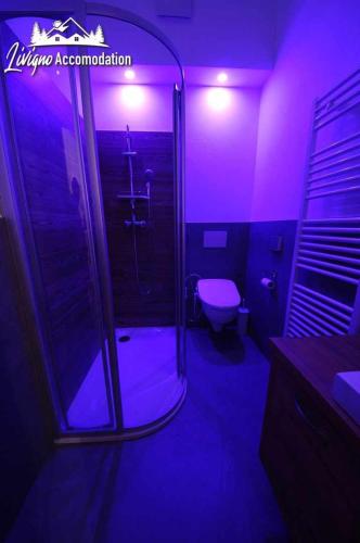 Baita Carosello Apt 6 by Livigno Accomodation - image 2