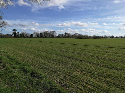 Wretham House gîte à louer Stow Bedon