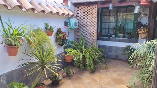  EL LLANETE in Vega de San Mateo