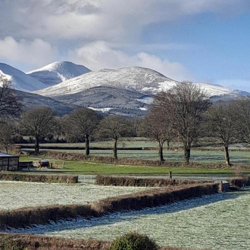 Shadowvale E34X773 in ทิปเปอร์แรรี