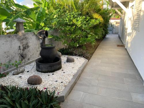 Chez BIBI, Grand-Bourg (photo 7)