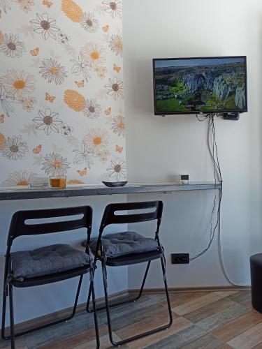 Apartman Studio LASTIN PUT Divčibare - Apartment - Divcibare