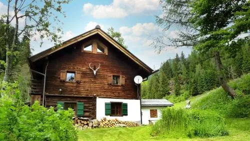 Ski- und Sommer-Chalet für 10 Personen in Dienten am Hochkönig in Dienten am Hochkönig, Österreich