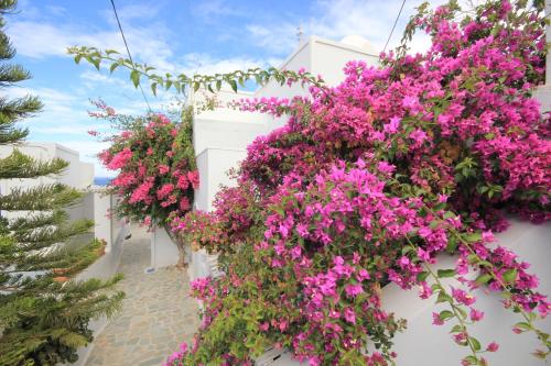 Unique Galini Oia - Adults Only - image 12