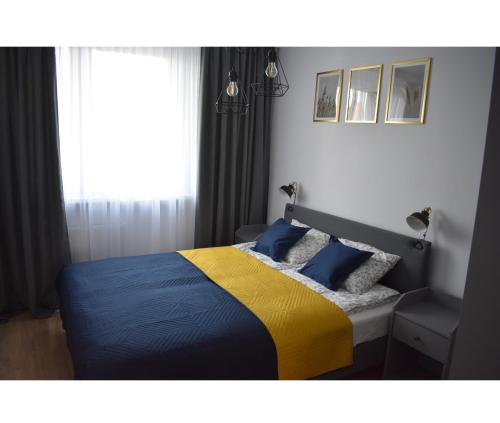 Apartament w centrum przy parku na Wyspie - Apartment - Piła