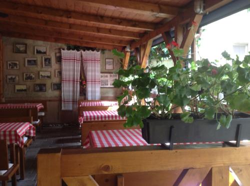 Penzión Duna & soľná jaskyňa obrázok