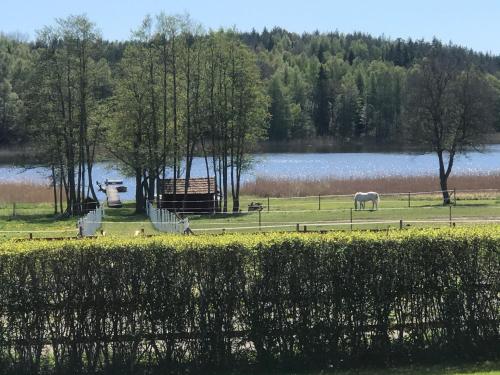 Cozy lodge at horse farm with lake and sauna in Malhaga