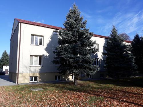 Pokoje u Ludwika - Apartment - Włodawa