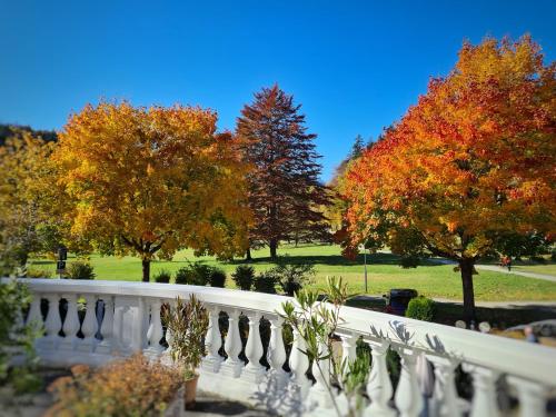 Parkhotel Bad Faulenbach - image 3