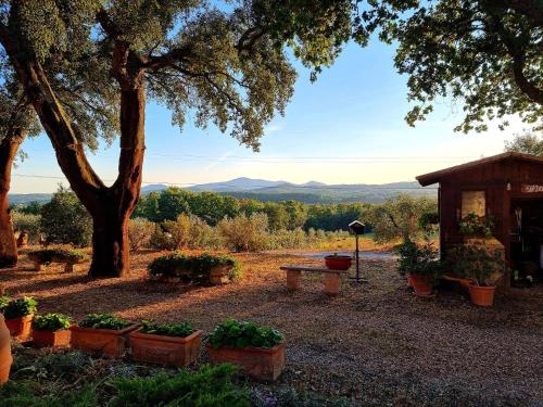 Agriturismo Poggio La Buca