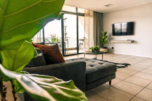 Point Waterfront Apartments - image 5