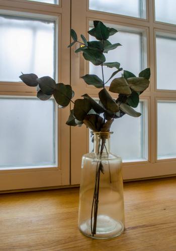 HOMELY STAY Studio 3 - Cozy Self-Check-In Studio in Central Munich, Мюнхен (фото 8)