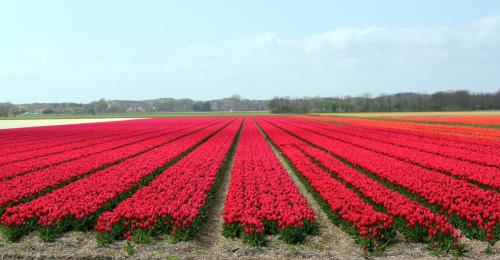 附近景點, 海特埃爾斯特惠斯耶度假屋 (Het Eerste Huisje vacation home) in 蘭傑維爾德住宅