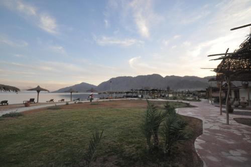 Kert, Sayadeen Village - Red Sea Riviera in Nuweiba