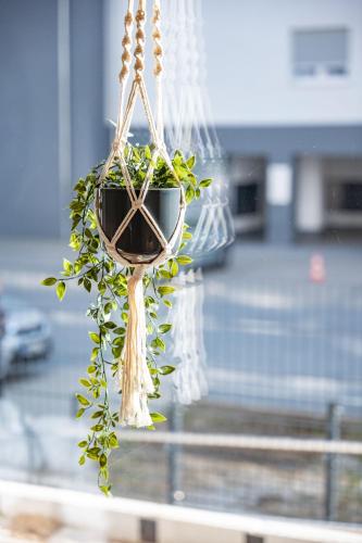 Moderne Neubauwohnung bei Köln Moderne Neubauwohnung bei Köln