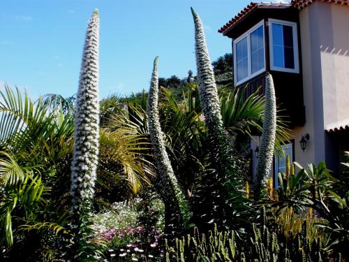  Apartamento MAR Y TEIDE, Unterkunft in Sauzal