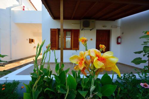 Studios Calvinos, Marathokampos (foto 8)