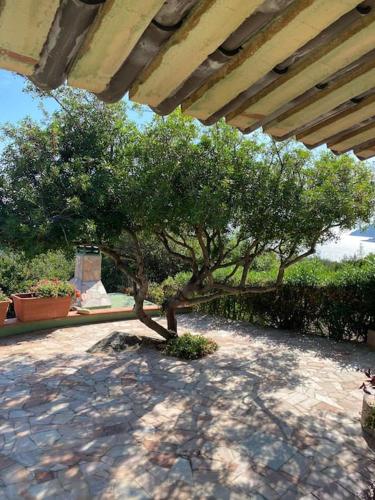 Villa il Lentischio gîte à louer Portu sa Ruxi