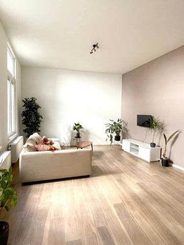 Spacious apartment in the heart of Antwerp