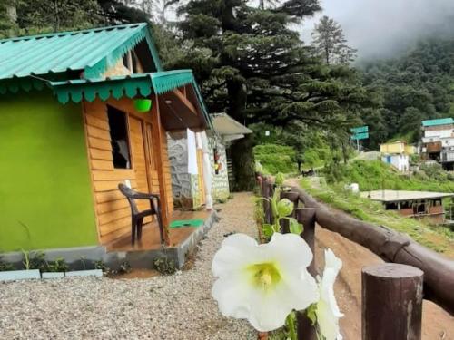 Bluepine Cottages Pangot — Hotel in Nainital