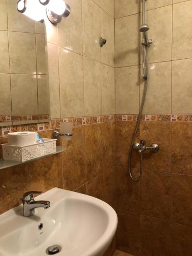 Hotel Silver - image 5