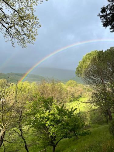 Casale Scola Cetona