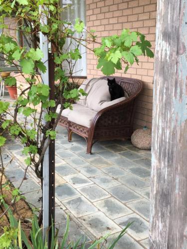 حديقة, Springmead B&B in رايدال