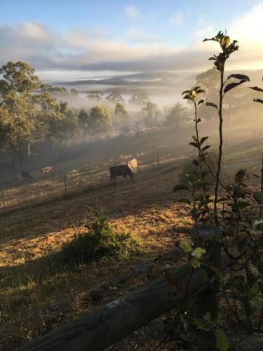 Springmead B&B Blue Mountains