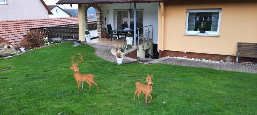 Ferienwohnung Panoramablick-Rhön