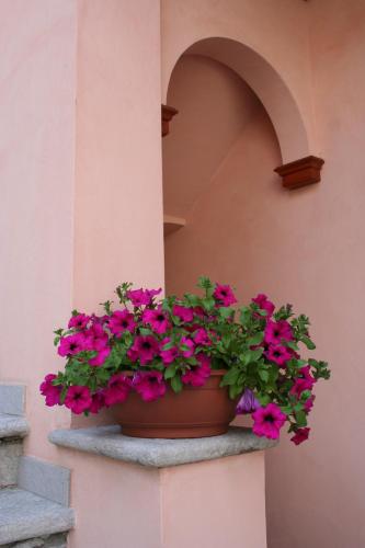  Le Petit Coin De Maison Chante Lune, Pension in Introd