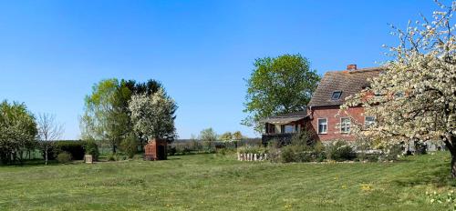 Vierseitenhof Hasenfelde - Ferienwohnung Feldblick